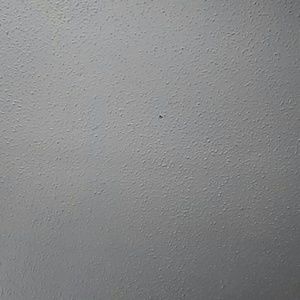 Meet your Posher, Tabitha