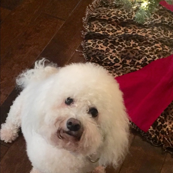 Meet your Posher, Julie