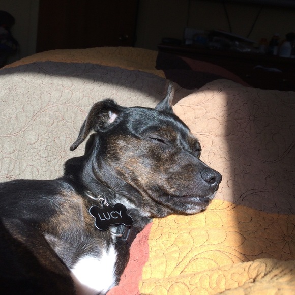 Don't get caught sleeping! Fall Sale!Bundle&Save!