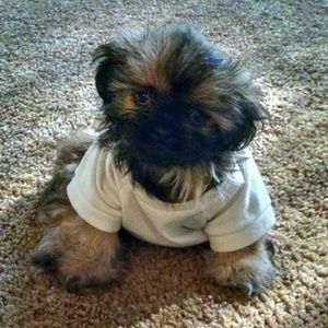 Meet your Posher, Scott