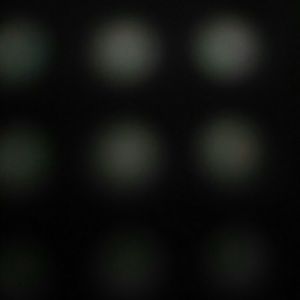 Meet your Posher, Diego