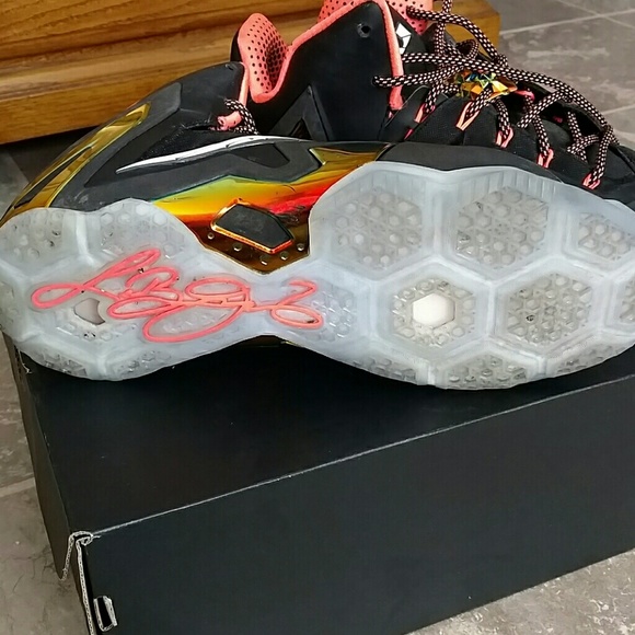 Mens nike Lebron James shoes