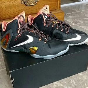 Mens nike Lebron James shoes