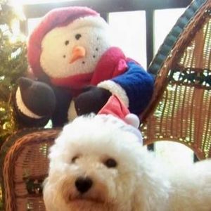 Meet your Posher, Betty