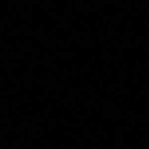 Meet your Posher, Travis