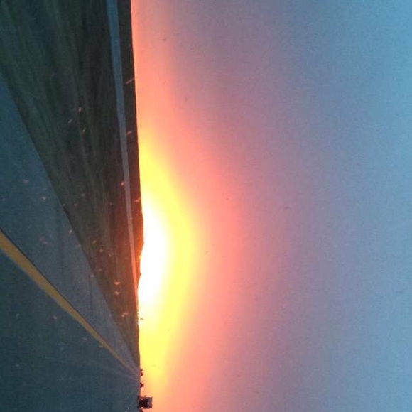 Meet your Posher, Ellie