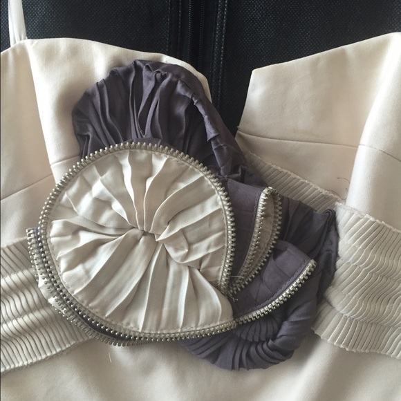 🎉 HP 🎉BCBGMaxAzria Runway Dress! 🎉 HP 1/22 🎉 - Picture 4 of 4