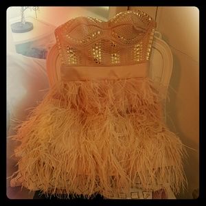 Blush pink Bebe feather dress