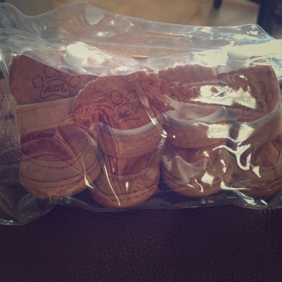 Uggs for your dogs    Dog boots