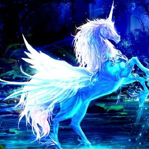 Meet your Posher, Alicia