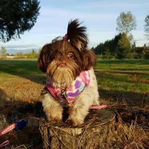 Meet your Posher, Tiffany