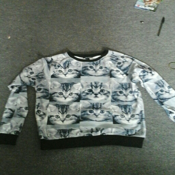Cat sweater