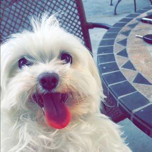 Meet your Posher, Andrea