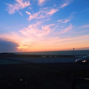 Meet your Posher, Lily