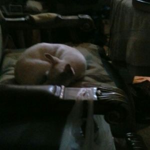 Meet your Posher, Mary