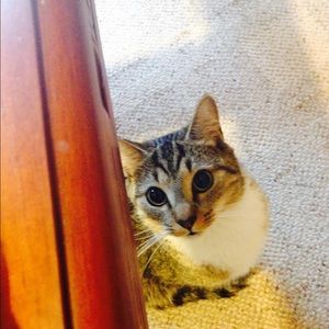 Meet your Posher, Lara