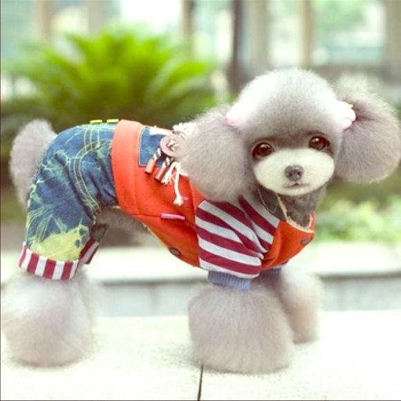 🆕Fall clothe super cute and colorful