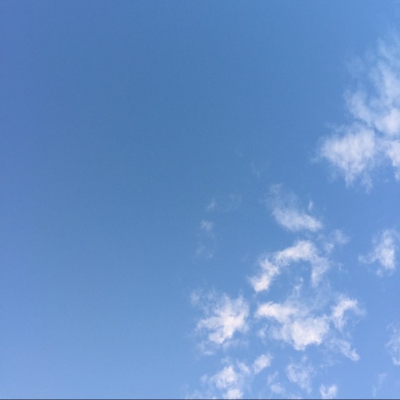 Meet your Posher, Lexi - Picture 1 of 1