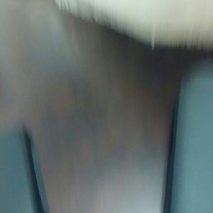 Meet your Posher, Roxanna