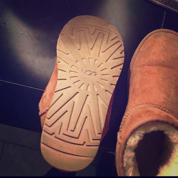 Mini chestnut uggs