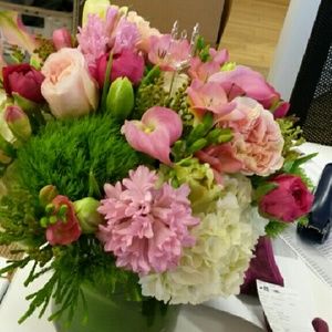 Meet your Posher, Jodi