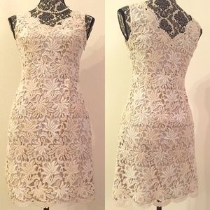NWOT! Ann Taylor Ivory Lace Dress