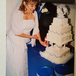 David''s Bridal Gown, Veil, Slip