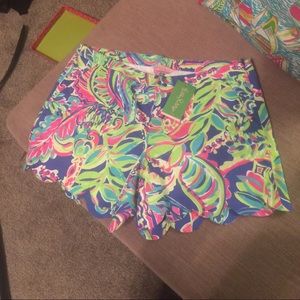 NWT Magnolia Shorts Sz 8