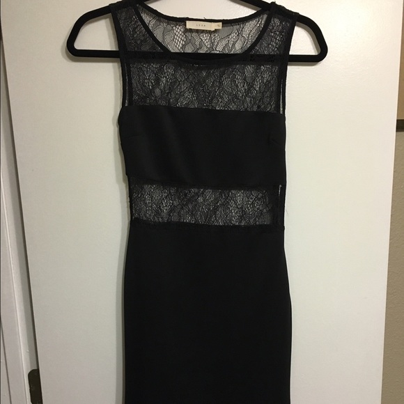 Bodycon lace meshed black dress