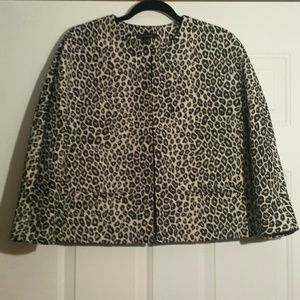 Ann Taylor Jacket