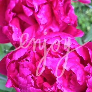 ❤️top for jewjew38