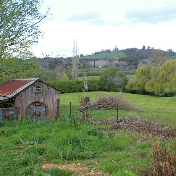 AWAY from the closet until 10/21 - Picture 3 of 4