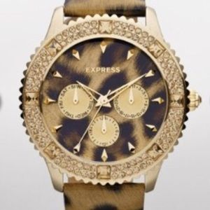 Express cheetah watch