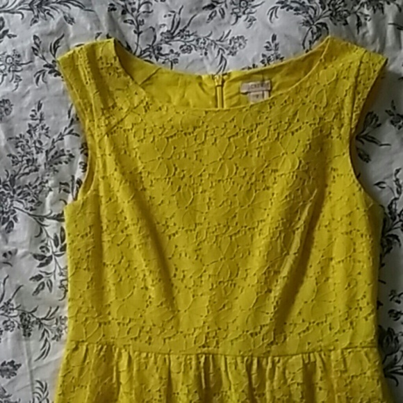 J. Crew dress