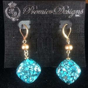 Premier Designs Canyon earrings