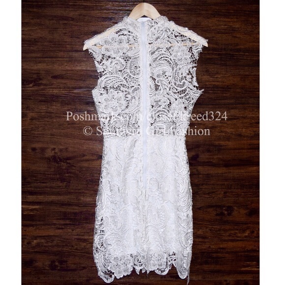 LACE DRESS Vintage Eyelet Cutout Bodycon Cocktail - Picture 3 of 4