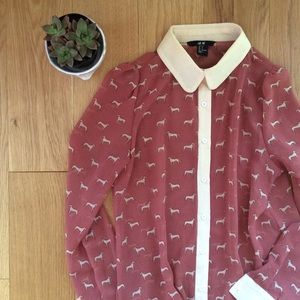 H&M sheer peter pan collar button down