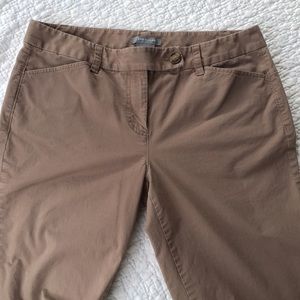 Ann Taylor Pants