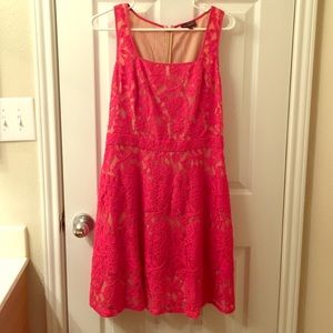 The Limited lace dress