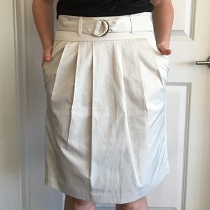 Banana Republic Pencil Skirt