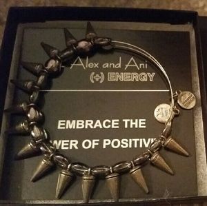 Alex and Ani Boston Exclusive Spike