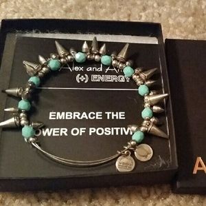 Alex and Ani Boston Exclusive Spike