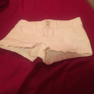 EVERYTHING MUST GO SALE!! ONE HOUR ONLY!