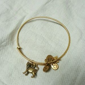 Dog and cat Alex and ani
