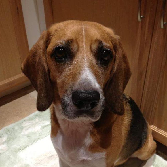 BABIES - Picture 2 of 4