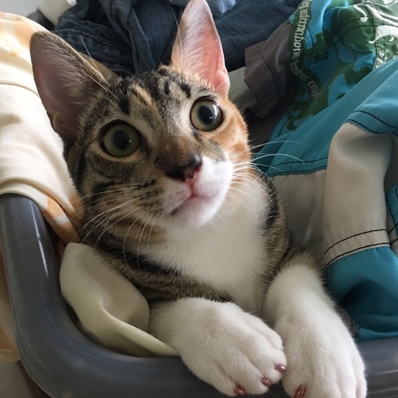 BABIES - Picture 4 of 4