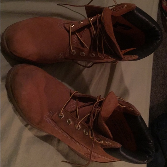 Male wheat timberlands