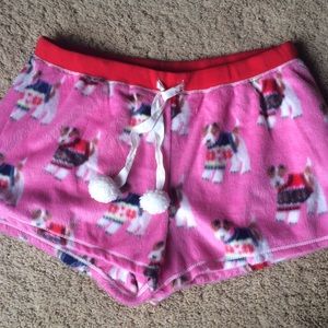 Francesca's pajama shorts