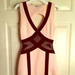 Charlotte Russe dress