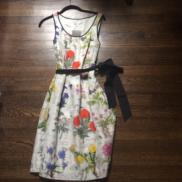 Anthropologie Botanical Dress